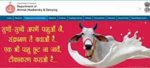 Govt Loan For Dairy Farming