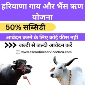 Govt Loan For Dairy Farming