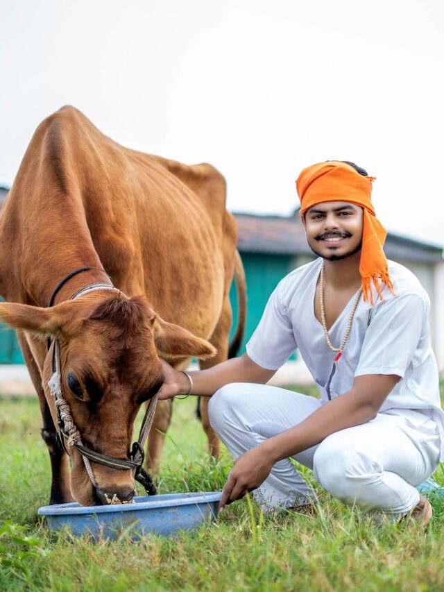 Indian Animal Husbandry recruitment 2024