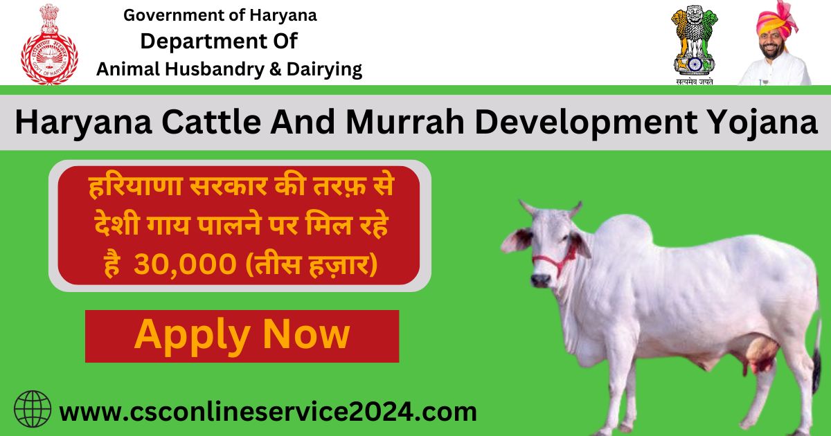 Desi Cow Rearing Scheme