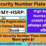 High Security Number Plate