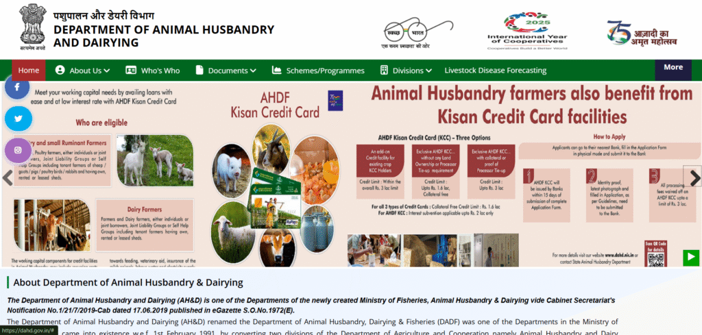 Government Loan Scheme 2025