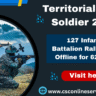 Territorial Army Soldier 2025