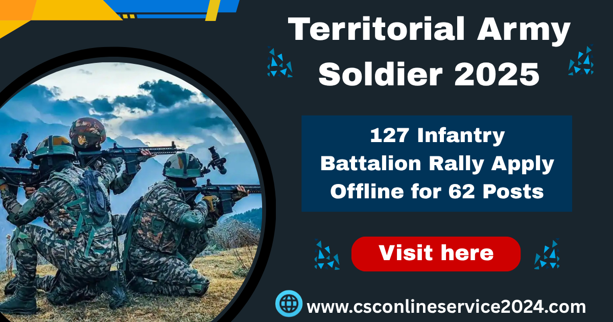 Territorial Army Soldier 2025