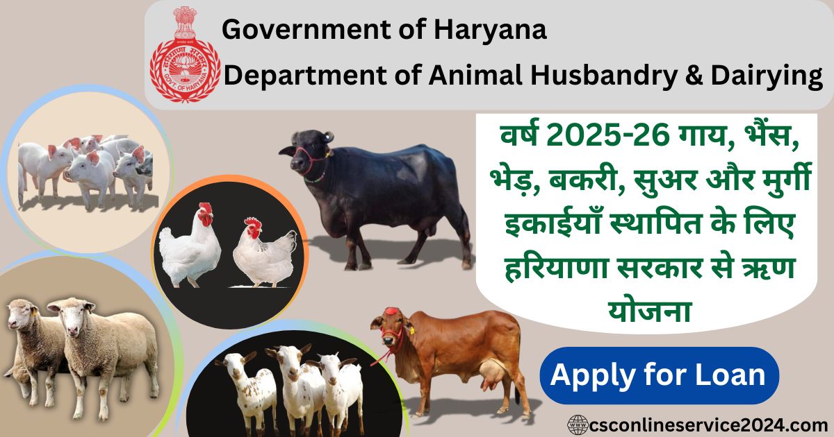 Government Loan Scheme 2025