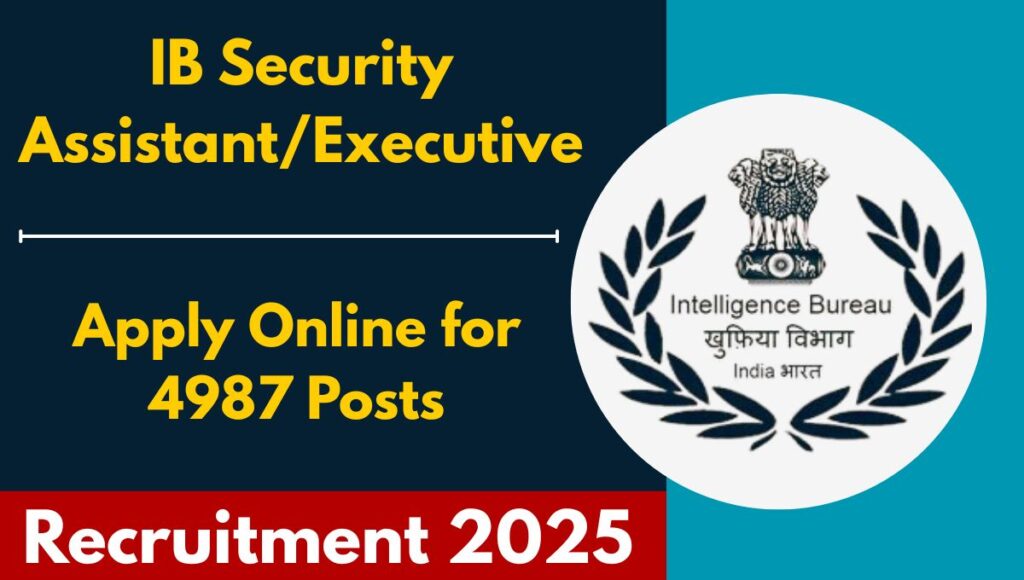 IB Security Assistant/Executive