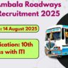 Ambala Roadways Recruitment 2025