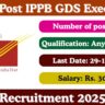 IPPB GDS Executive
