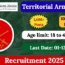 Territorial Army Rally
