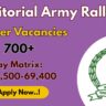 Territorial Army Soldier
