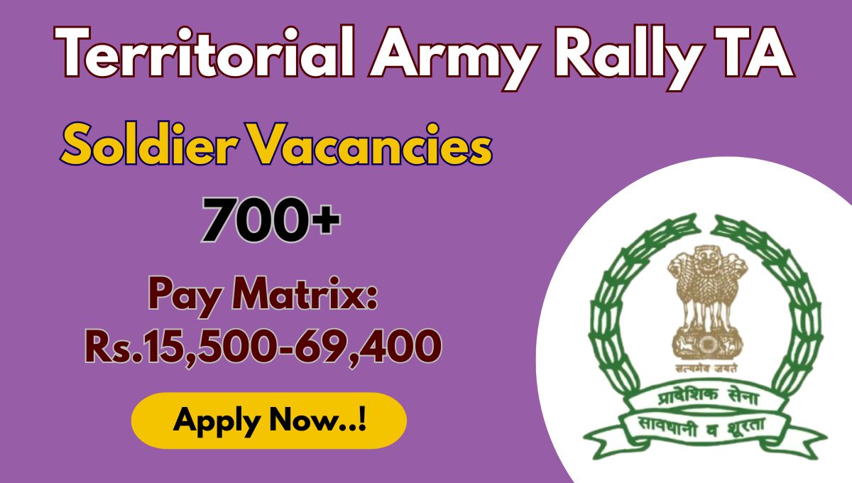 Territorial Army Soldier