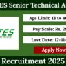 RITES Senior Technical Assistant